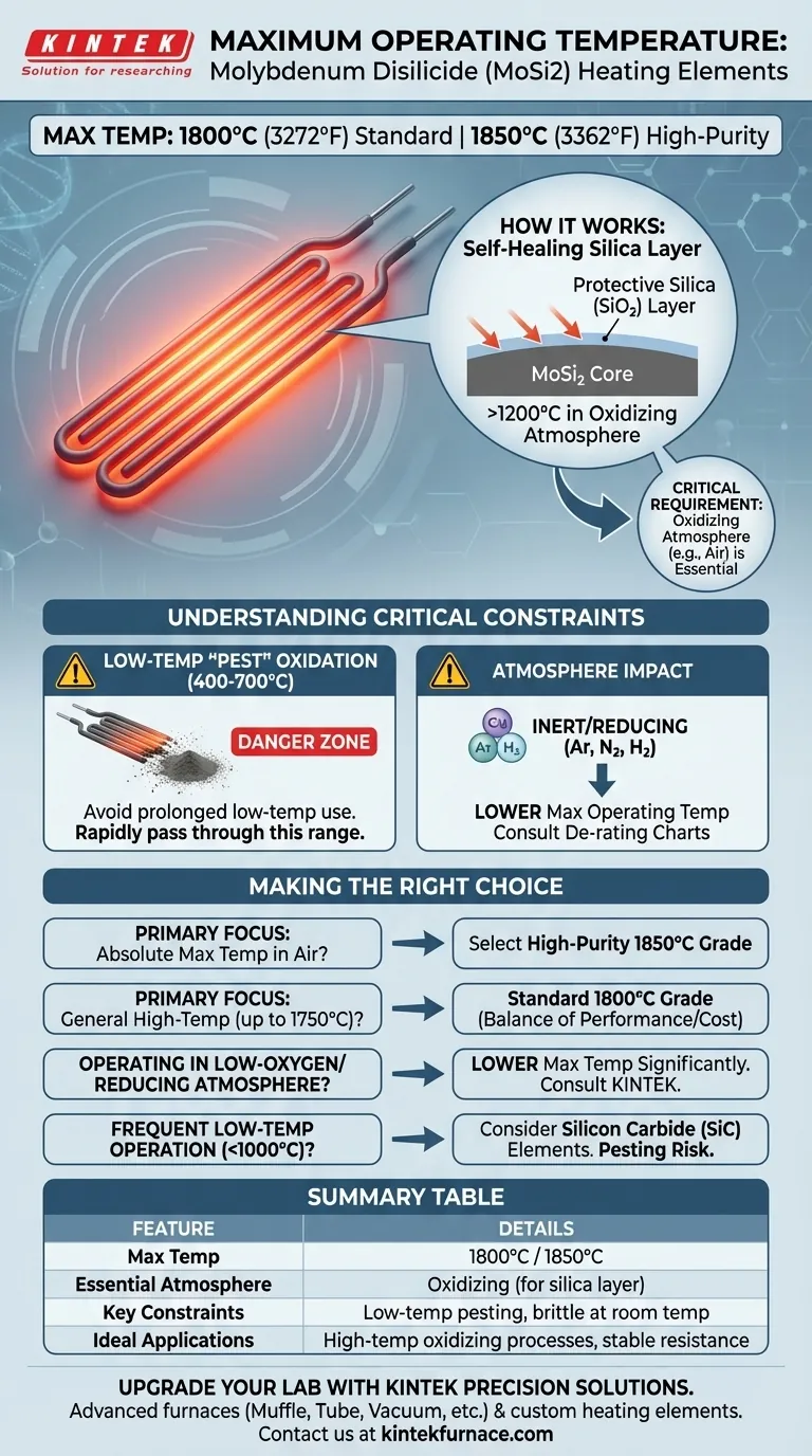 Was ist die maximale Betriebstemperatur für Molybdändisilizid-Heizelemente? Entfesseln Sie Hochtemperaturleistung bis zu 1850°C Visuelle Anleitung
