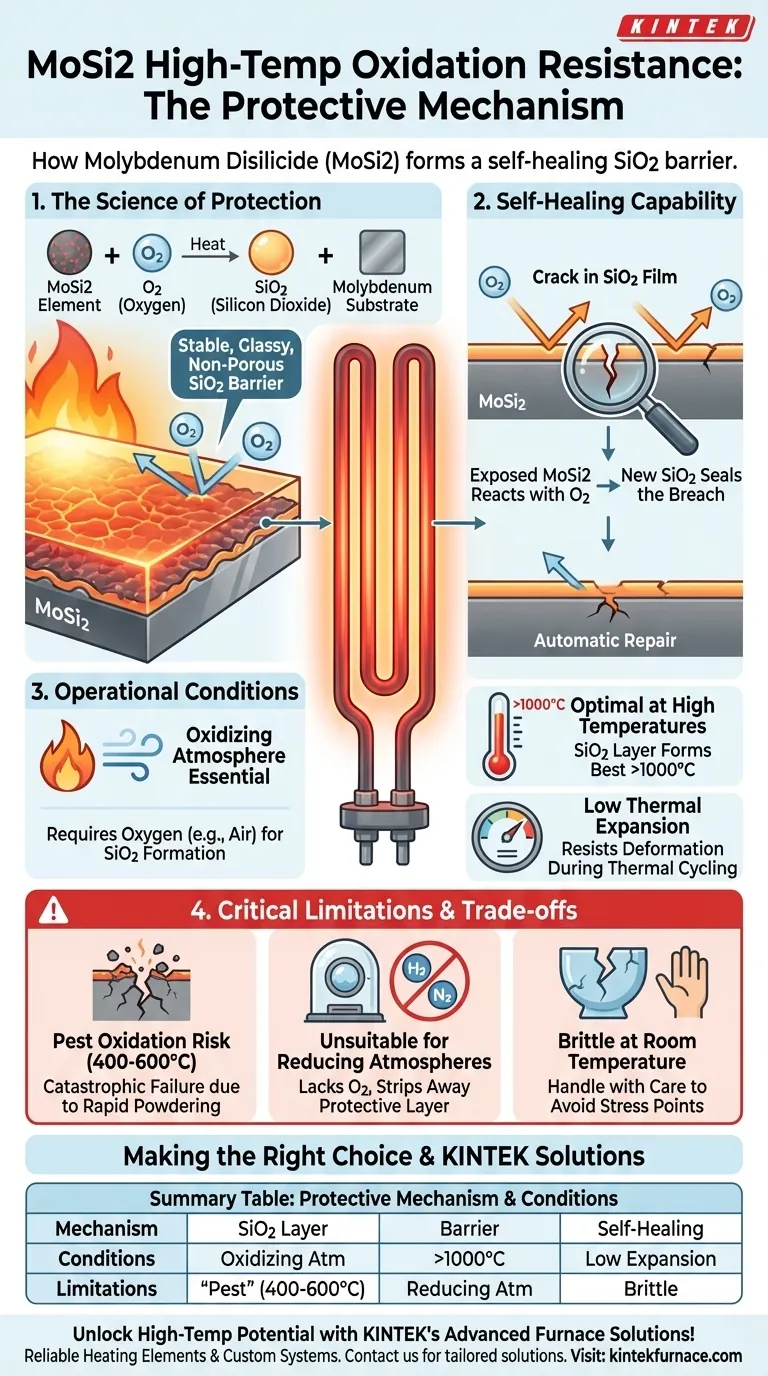 Qual mecanismo de proteção ajuda os elementos de MoSi2 a resistir à oxidação em altas temperaturas? Descubra a Camada de Sílica Autorregeneradora Guia Visual