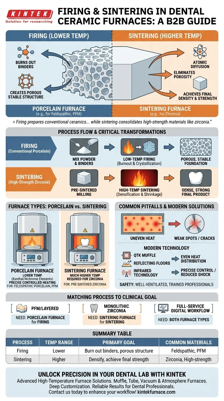 Cosa sono i processi di cottura e sinterizzazione nei forni ceramici dentali? Passi chiave per restauri resistenti ed estetici Guida Visiva