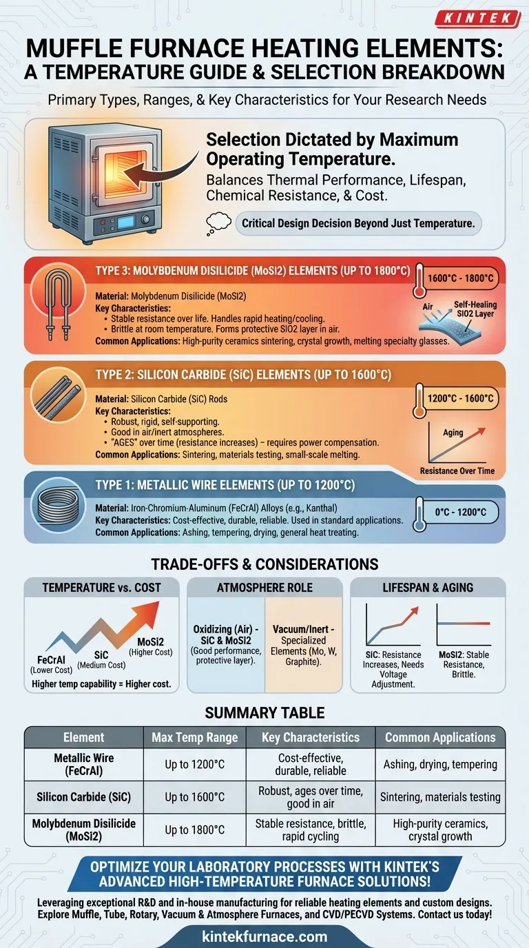 머플로에서 사용되는 일반적인 발열체와 해당 온도 범위는 무엇입니까? 실험실에 적합한 요소를 선택하세요 시각적 가이드