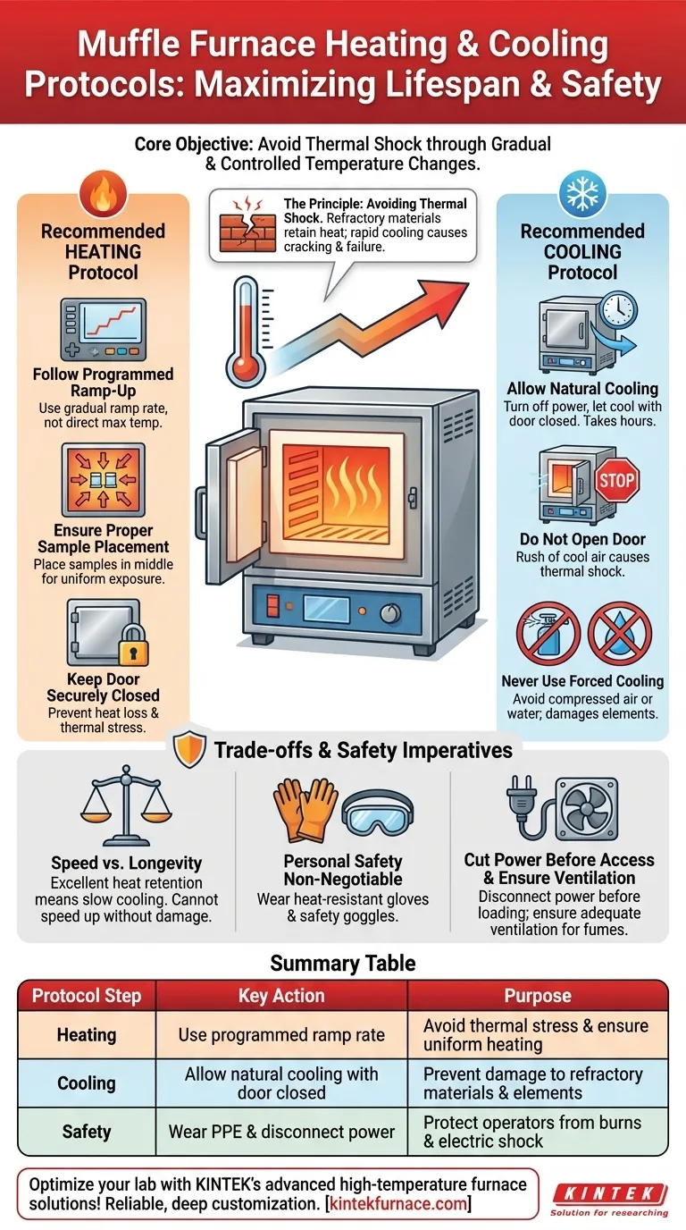 Quali sono i protocolli raccomandati di riscaldamento e raffreddamento per un forno a muffola? Garantire longevità e sicurezza nel tuo laboratorio Guida Visiva
