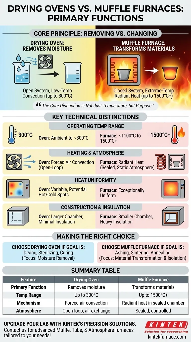 Was sind die Hauptfunktionen von Trockenöfen und Muffelöfen? Wichtige Unterschiede für die Laboreffizienz Visuelle Anleitung
