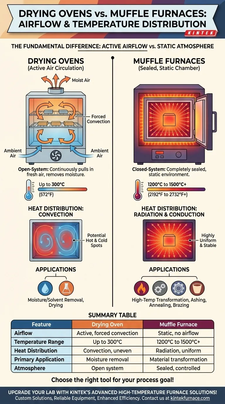 干燥箱与马弗炉在气流和温度分布方面有何不同？实验室效率的关键见解 图解指南