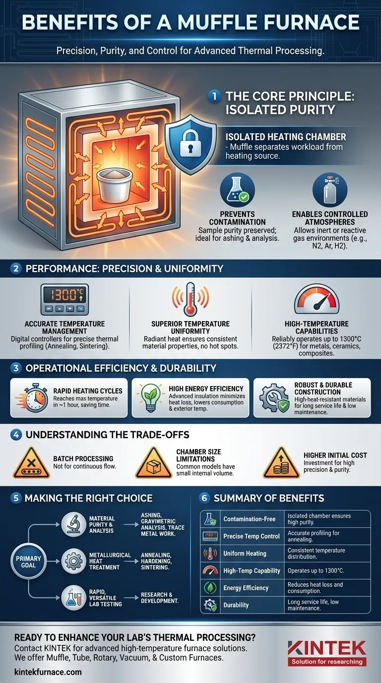 Каковы преимущества использования муфельной печи? Обеспечьте точный и чистый нагрев для вашей лаборатории Визуальное руководство