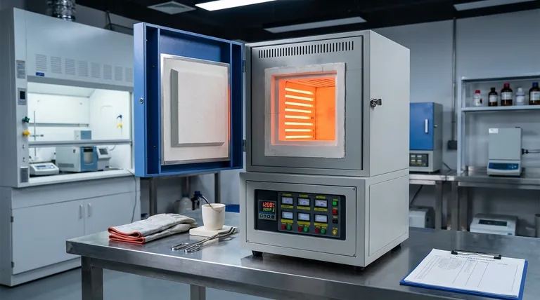 Welche erweiterten Funktionen bieten Muffelöfen? Steigern Sie Präzision und Sicherheit in Ihrem Labor