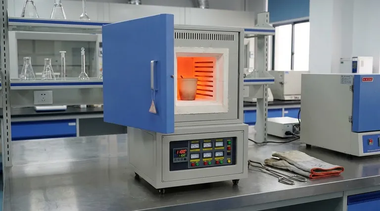 كيف يختلف فرن الكي (Muffle Furnace) عن الفرن التقليدي؟ الاختلافات الرئيسية للدقة في درجات الحرارة العالية