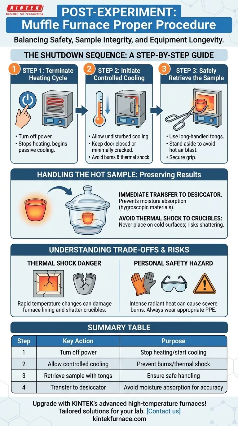 전기로 실험을 마친 후의 올바른 절차는 무엇입니까? 실험실에서 안전과 정확성을 보장하십시오 시각적 가이드