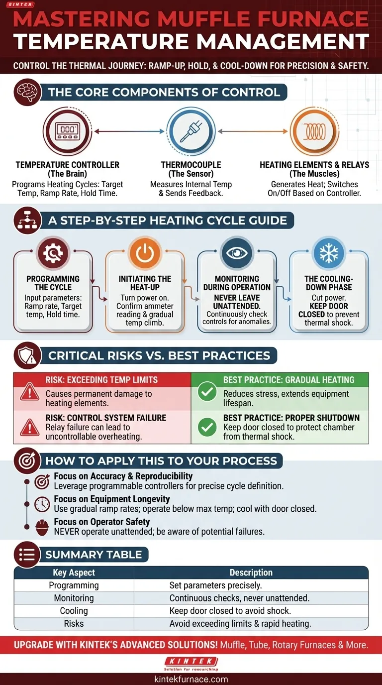 머플로(muffle furnace) 사용 시 온도는 어떻게 관리해야 할까요? 안전과 정확성을 위한 정밀 제어 마스터하기 시각적 가이드