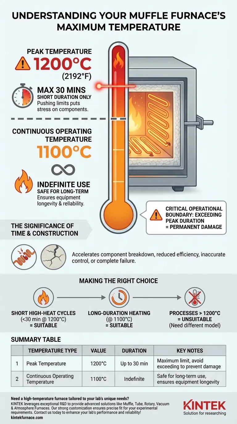 Qual è la temperatura massima del forno a muffola descritto? Limiti chiave per il successo del laboratorio Guida Visiva