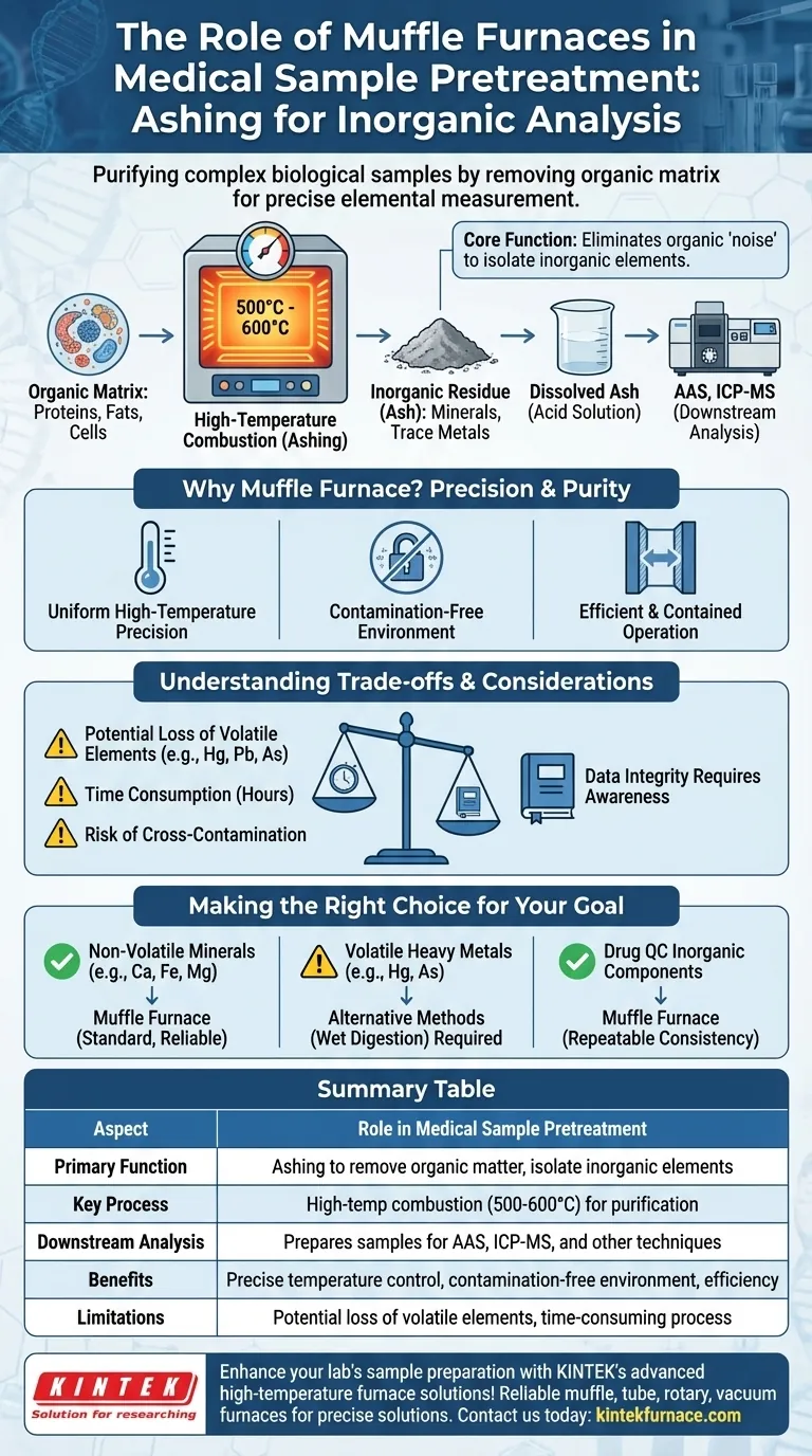Che ruolo svolgono i forni a muffola nel pretrattamento dei campioni medici? Essenziali per un'analisi elementare accurata Guida Visiva