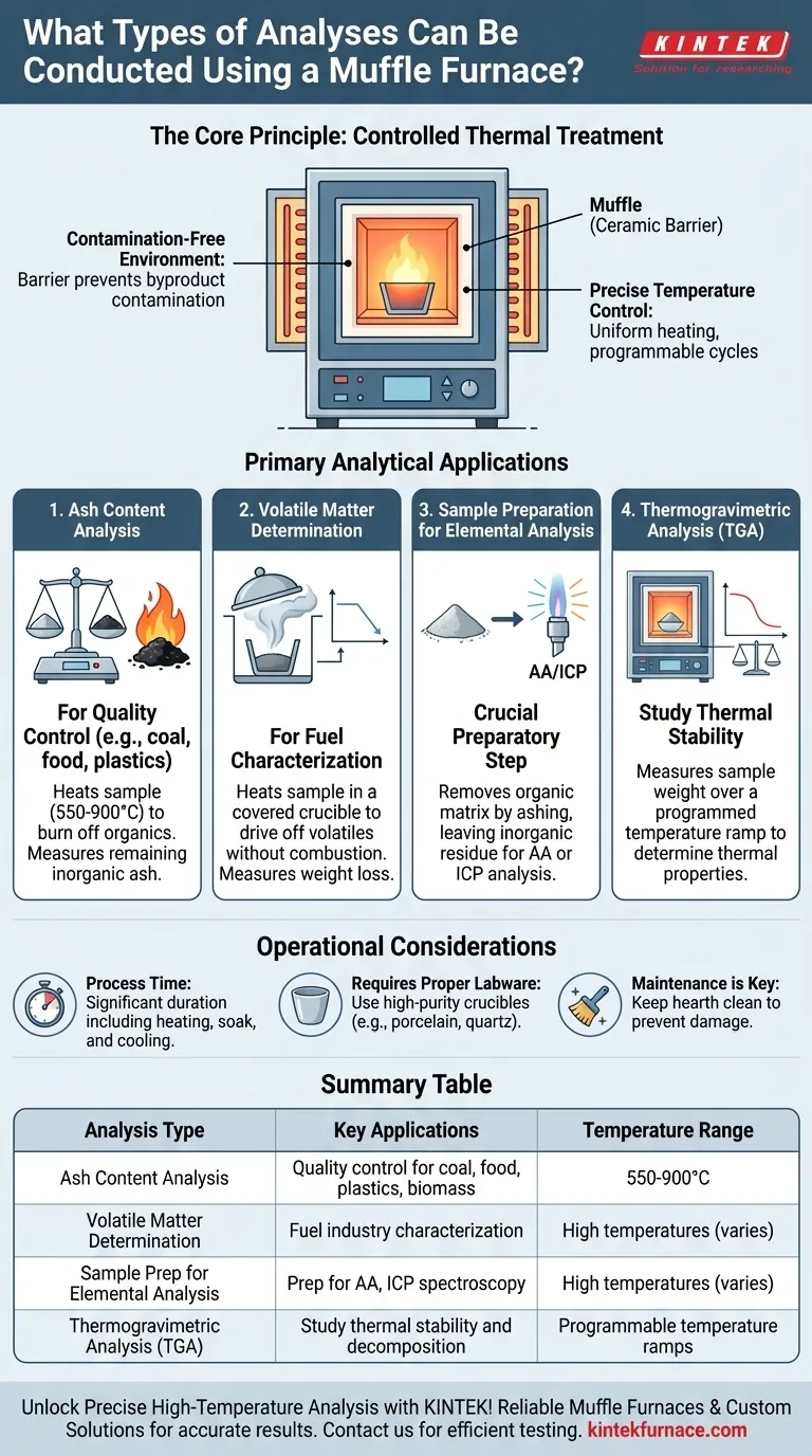 What types of analyses can be conducted using a muffle furnace? Essential High-Temperature Tests for Accurate Results Visual Guide