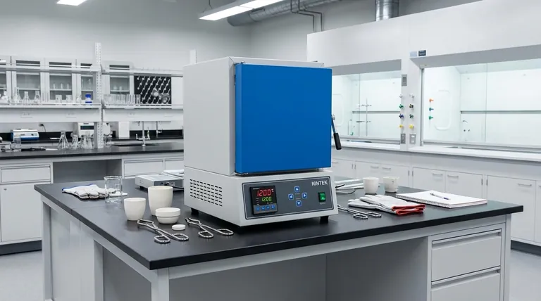 ما هو الشكل العام والخصائص التشغيلية لفرن الكتمان؟ اكتشف ميزاته الرئيسية للتدفئة النقية