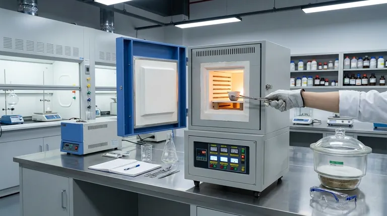 ما هي التطبيقات الأساسية لفرن التكليس في المختبرات؟ تحقيق معالجة دقيقة بدرجة حرارة عالية