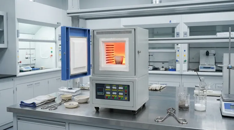 ما هي الاستخدامات النموذجية لأفران الغرفة (Muffle Furnaces) في المختبرات؟ أطلق العنان للمعالجة الحرارية الدقيقة لمختبرك