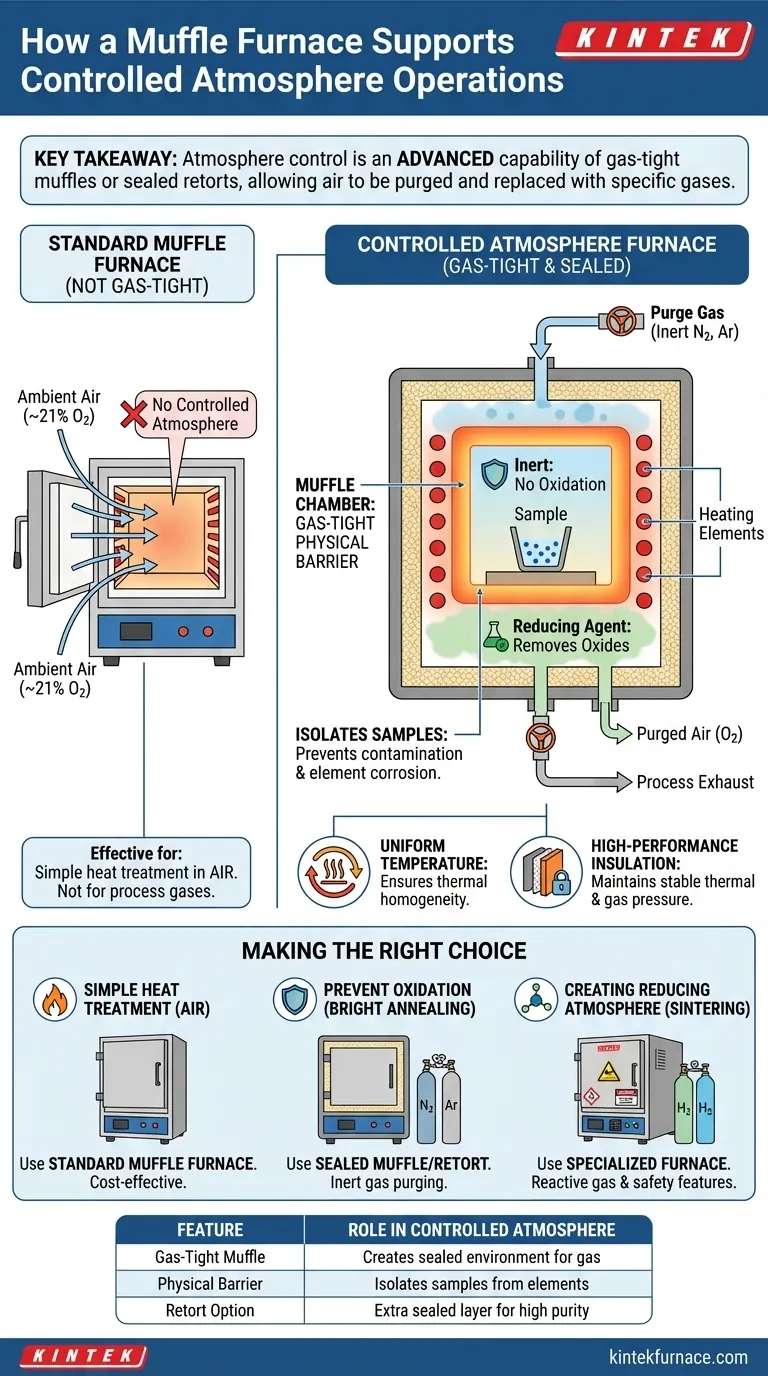 In che modo una fornace a muffola supporta operazioni in atmosfera controllata? Garantisci purezza e precisione nel tuo laboratorio Guida Visiva