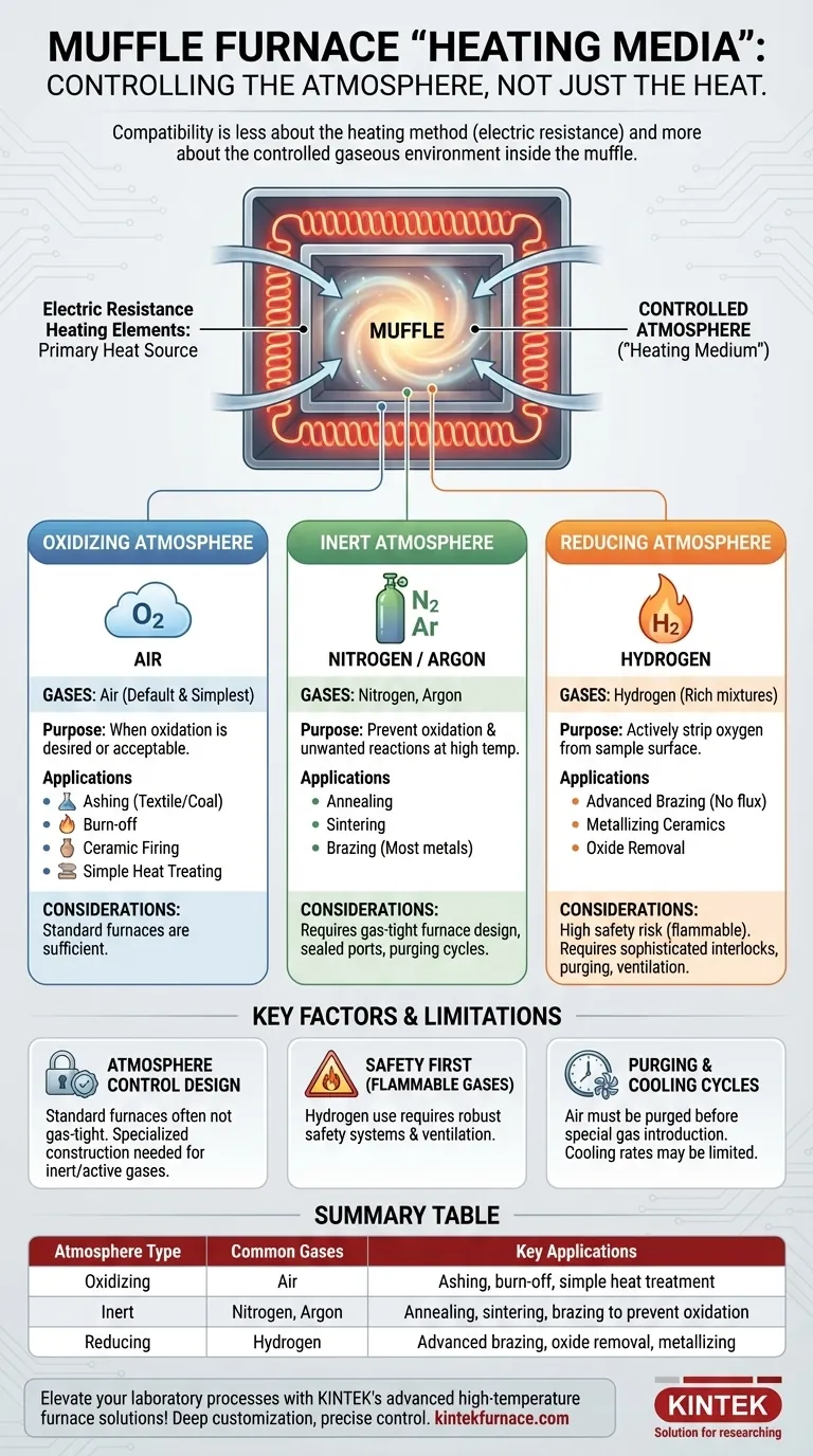 Que tipos de meios de aquecimento são compatíveis com fornos mufla? Desvende as Atmosferas de Processo Ideais Guia Visual