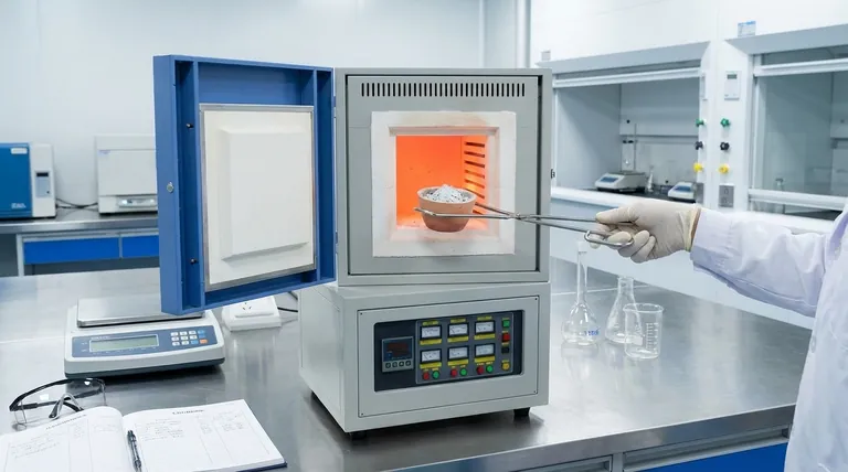 ما هو دور أفران الكيشان (Muffle Furnaces) في المعالجة المسبقة للعينات الطبية؟ أساسي للتحليل الدقيق للعناصر النزرة