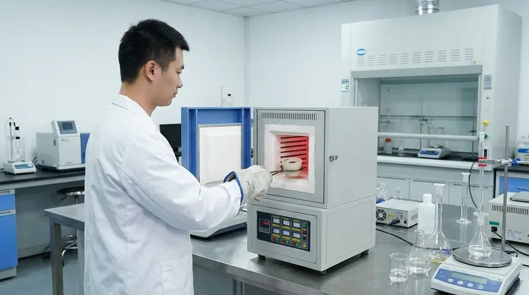 كيف تؤثر متطلبات العينة على اختيار فرن التوهين؟ طابق مادتك للحصول على نتائج دقيقة