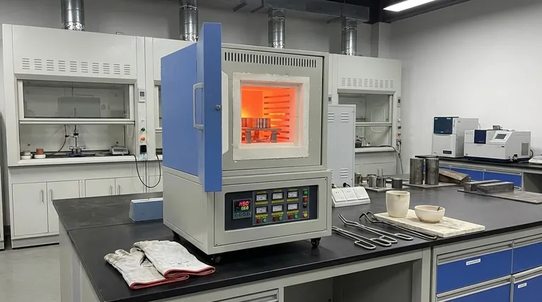 ما هي التطبيقات الشائعة لفرن الكمر في علم المعادن؟ تعزيز خصائص المعادن بالمعالجة الحرارية الدقيقة