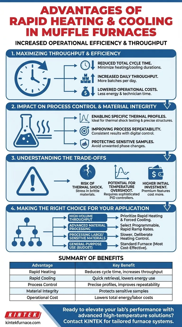 Quali vantaggi offrono le funzioni di riscaldamento e raffreddamento rapidi in alcuni modelli di forni a muffola? Aumenta l'efficienza e il controllo nel tuo laboratorio Guida Visiva