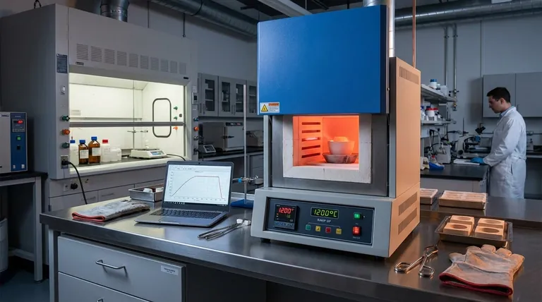Quais vantagens os recursos de aquecimento e resfriamento rápidos oferecem em alguns modelos de fornos mufla? Aumente a Eficiência e o Controle em Seu Laboratório