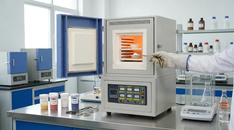 ¿Qué tipos de materiales se pueden analizar utilizando un horno de mufla? Desbloquee análisis térmicos precisos para muestras diversas