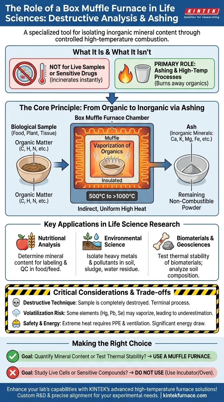Qual é o papel de um forno mufla em caixas nas ciências da vida? Desvende a Análise Mineral Precisa em Pesquisas Guia Visual