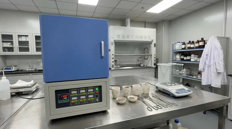 Was sind die Haupteinsatzgebiete einer Muffelöfen? Entriegeln Sie präzise Erwärmung für Materialtransformationen