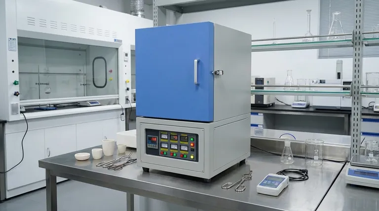 ما هي مزايا استخدام فرن الكبوت (Muffle Furnace)؟ تحقيق معالجة حرارية دقيقة وخالية من التلوث