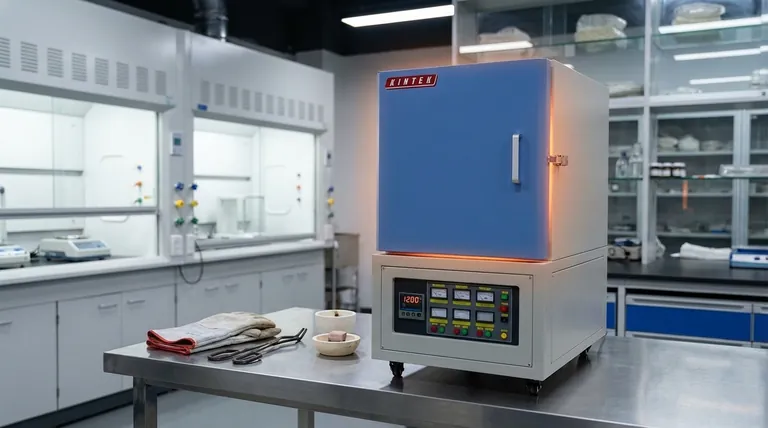 Was sind die wichtigsten Leistungsvorteile eines Muffelofens? Präzises, gleichmäßiges und kontaminationsfreies Erhitzen erreichen