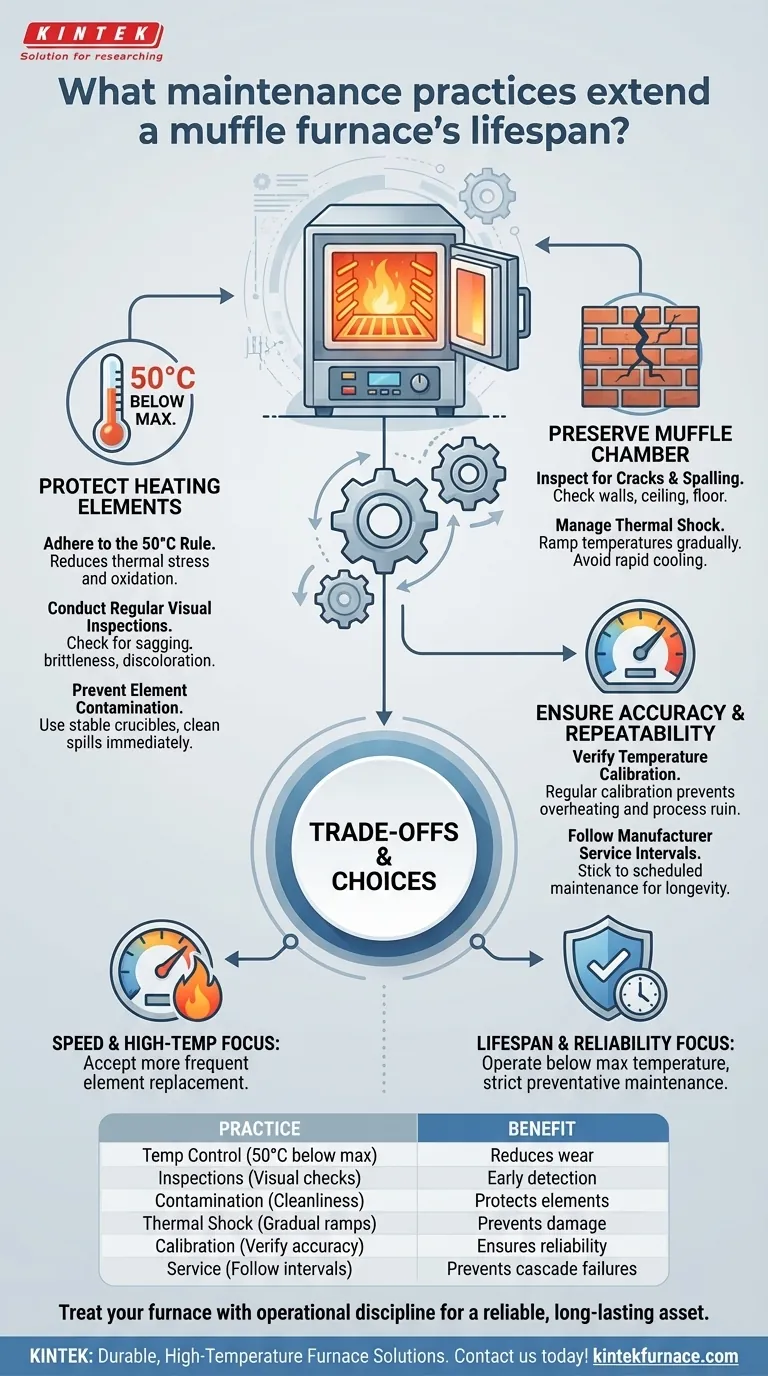 Quelles pratiques d'entretien prolongent la durée de vie d'un four à moufle ? Améliorez la fiabilité grâce à un entretien proactif Guide Visuel