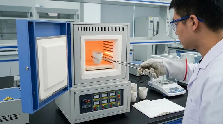 Wie sollen Proben beim Einsatz eines Muffelofens gehandhabt werden? Sorgen Sie für eine präzise und sichere Wärmebehandlung