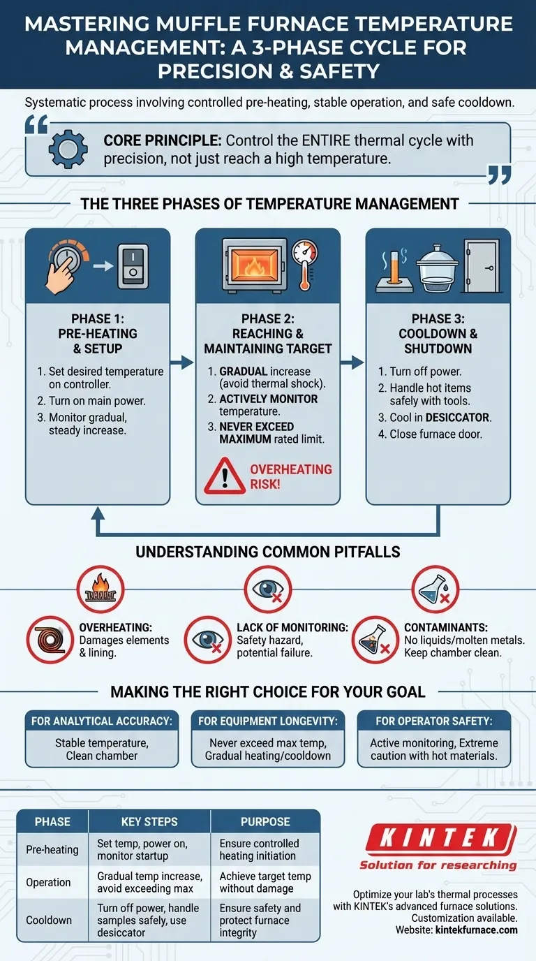 Como a temperatura deve ser gerenciada ao usar um forno mufla? Domine o Controle Preciso para Segurança e Exatidão Guia Visual