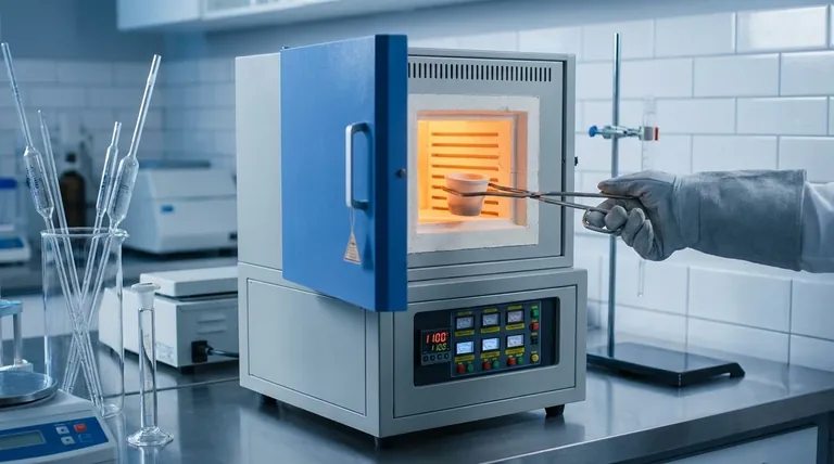 ما هو الغرض الرئيسي من الفرن الصندوقي (Muffle Furnace)؟ تحقيق تسخين خالٍ من التلوث في درجات حرارة عالية