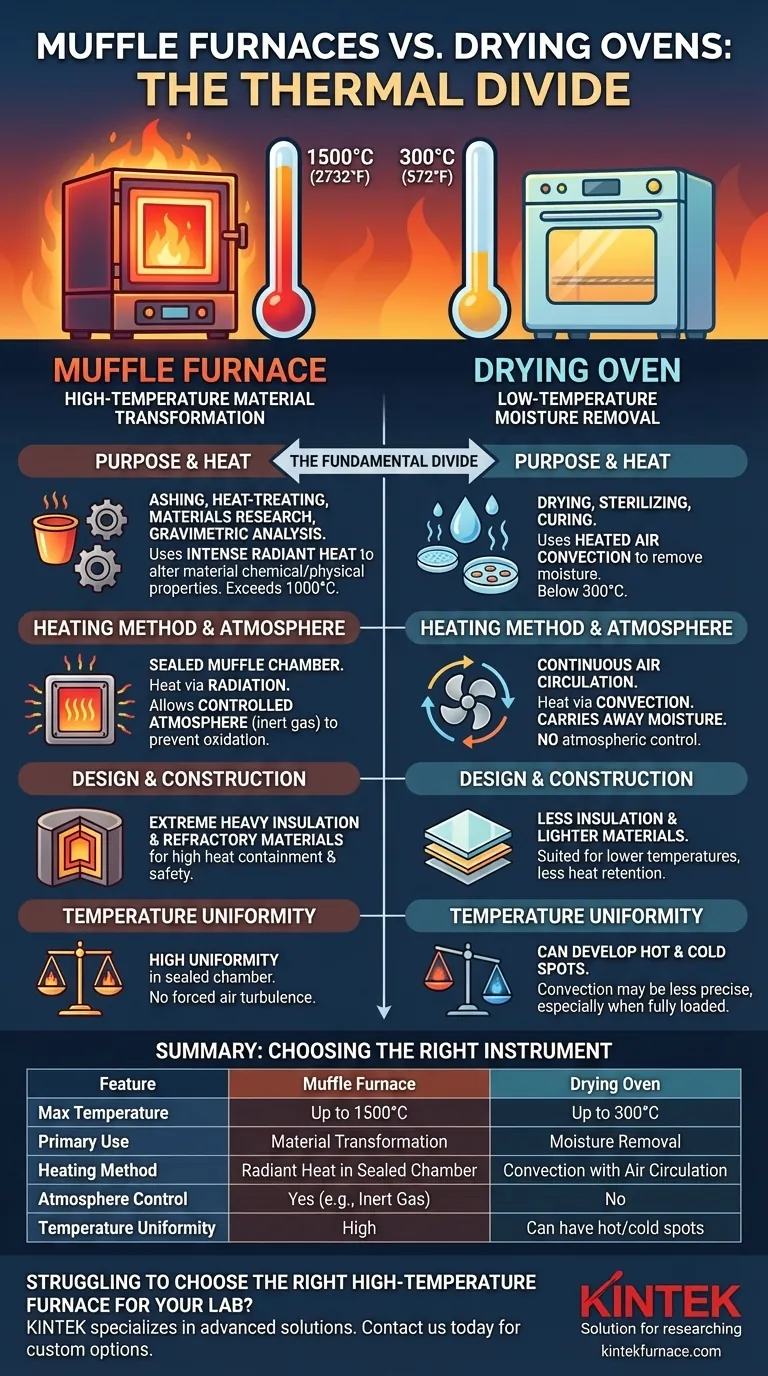 Каковы ключевые различия в температурных возможностях муфельных печей и сушильных шкафов? Визуальное руководство
