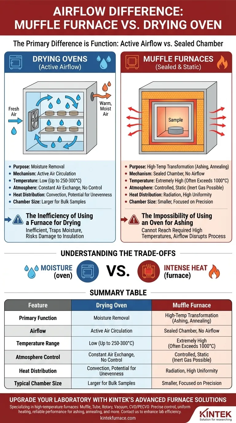 ¿Cómo difiere el flujo de aire entre los hornos de mufla y los hornos de secado durante su funcionamiento? Descubra las diferencias clave de diseño Guía Visual