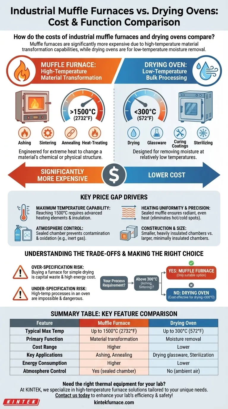 How do the costs of industrial muffle furnaces and drying ovens compare? Understand the Price Gap and Choose Wisely Visual Guide