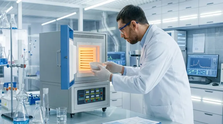 Quali sono stati i risultati dell'uso del forno a muffola per l'analisi di campioni ambientali? Migliora la purezza e l'accuratezza nel tuo laboratorio