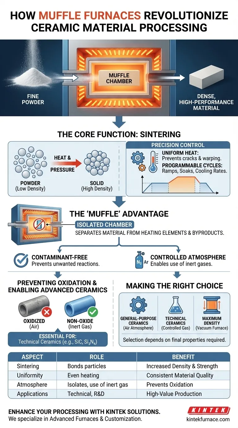 Como os fornos mufla são usados no processamento de materiais cerâmicos? Desbloqueie a sinterização de precisão para cerâmicas de alto desempenho Guia Visual