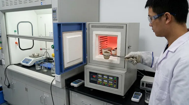 환경 샘플 분석에 머플로가 어떻게 사용되었나요? 정확한 오염 감지를 위한 샘플 정화