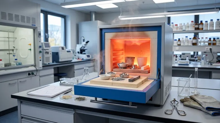 Quelles sont les applications générales d'un four à moufle ? Idéal pour l'incinération (Ashing), le frittage et le traitement thermique