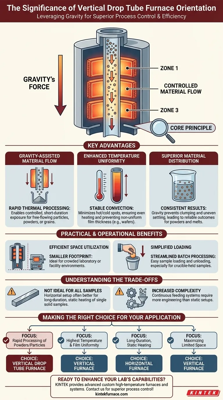 Perché l'orientamento verticale di una fornace a tubo di caduta è significativo? Sblocca il controllo di processo e l'efficienza superiori Guida Visiva