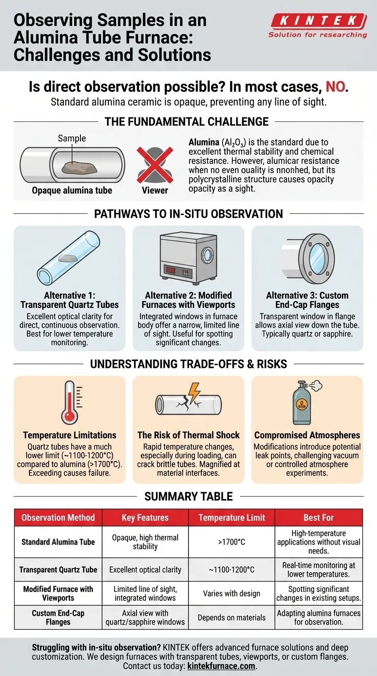 Is it possible to observe samples inside an alumina tube furnace during heating? Unlock In-Situ Monitoring Solutions Visual Guide