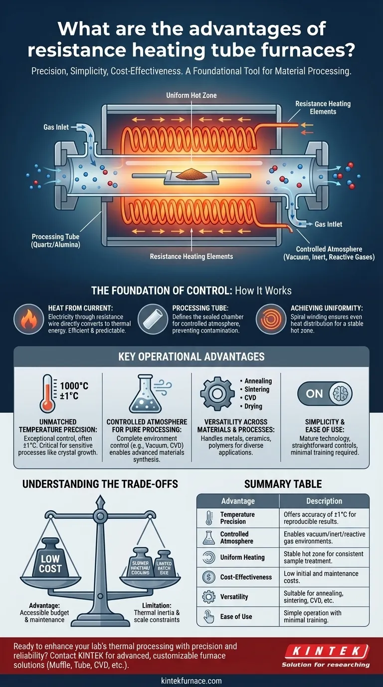 Quali sono i vantaggi dei forni a tubo con riscaldamento a resistenza? Ottieni una lavorazione termica precisa ed economica Guida Visiva