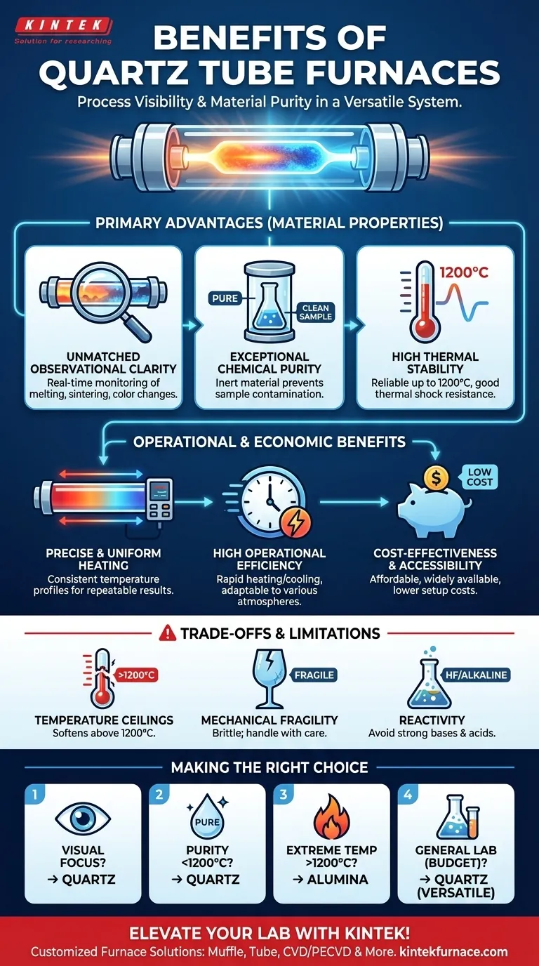 石英管炉的好处是什么？在高温过程中实现纯度和可见性 图解指南