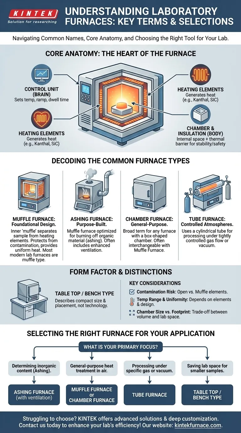 What are some key terms related to Laboratory Furnaces? Demystify Types Like Muffle and Tube Furnaces Visual Guide