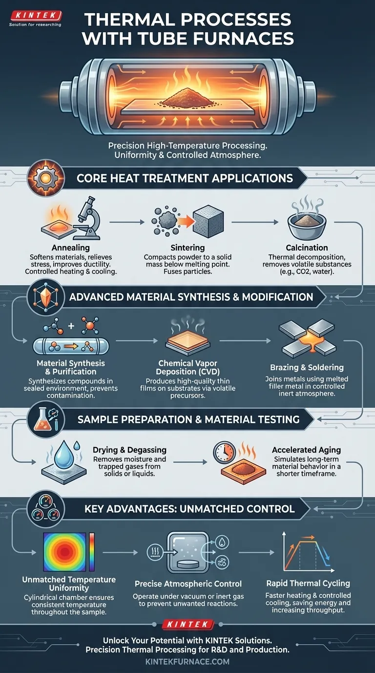 What thermal processes can tube furnaces perform? Achieve Precise High-Temperature Control for Your Lab Visual Guide