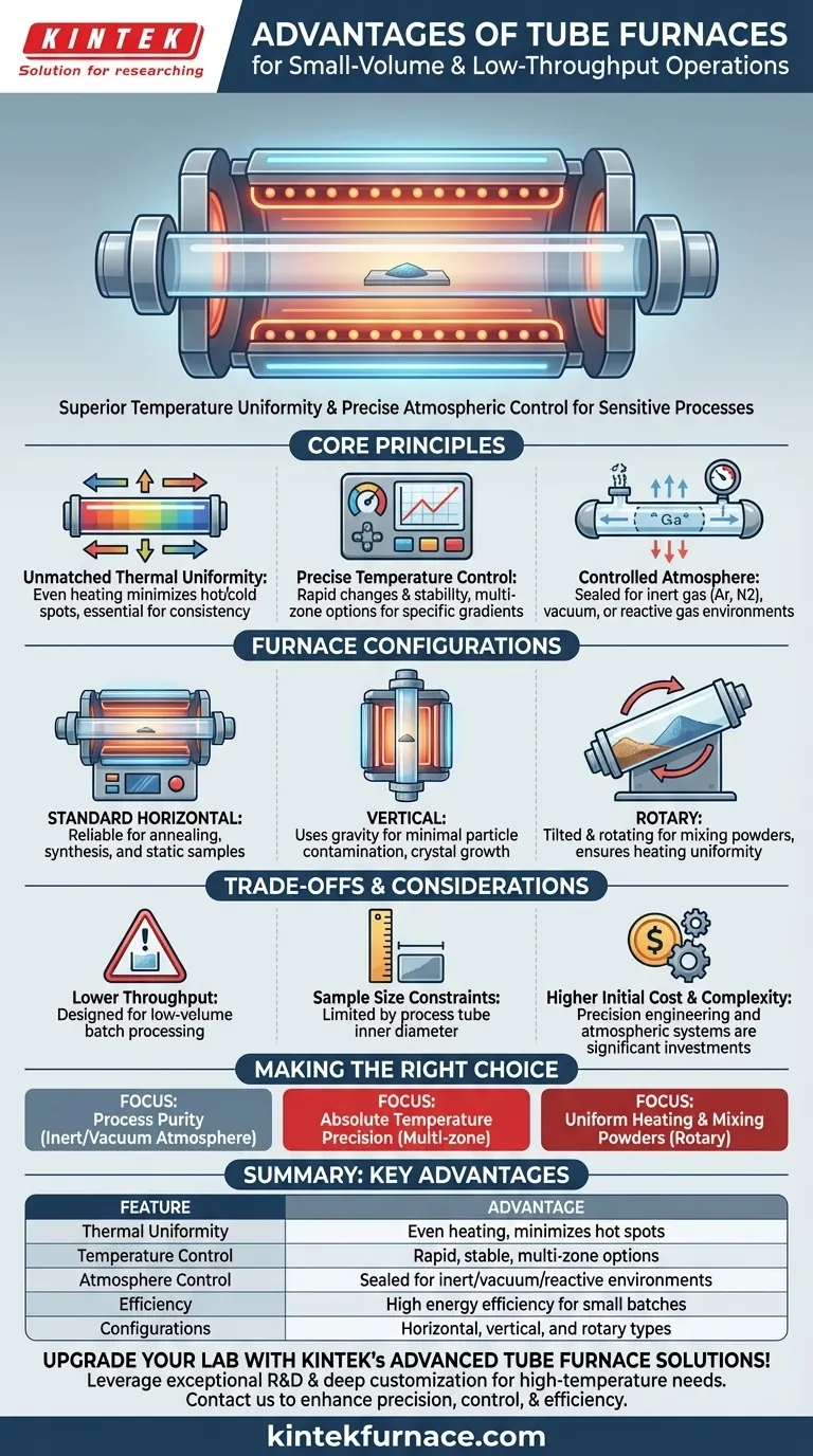少量サンプルや低スループットの作業にチューブ炉を使用する利点は何ですか？研究室での精度と制御を実現 ビジュアルガイド