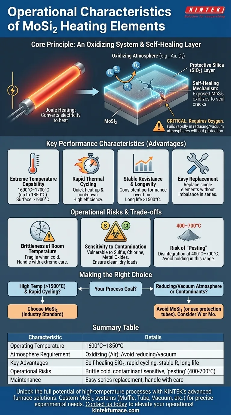 Quais são as características operacionais dos elementos de aquecimento de MoSi2? Alcance Precisão de Alta Temperatura e Longevidade Guia Visual
