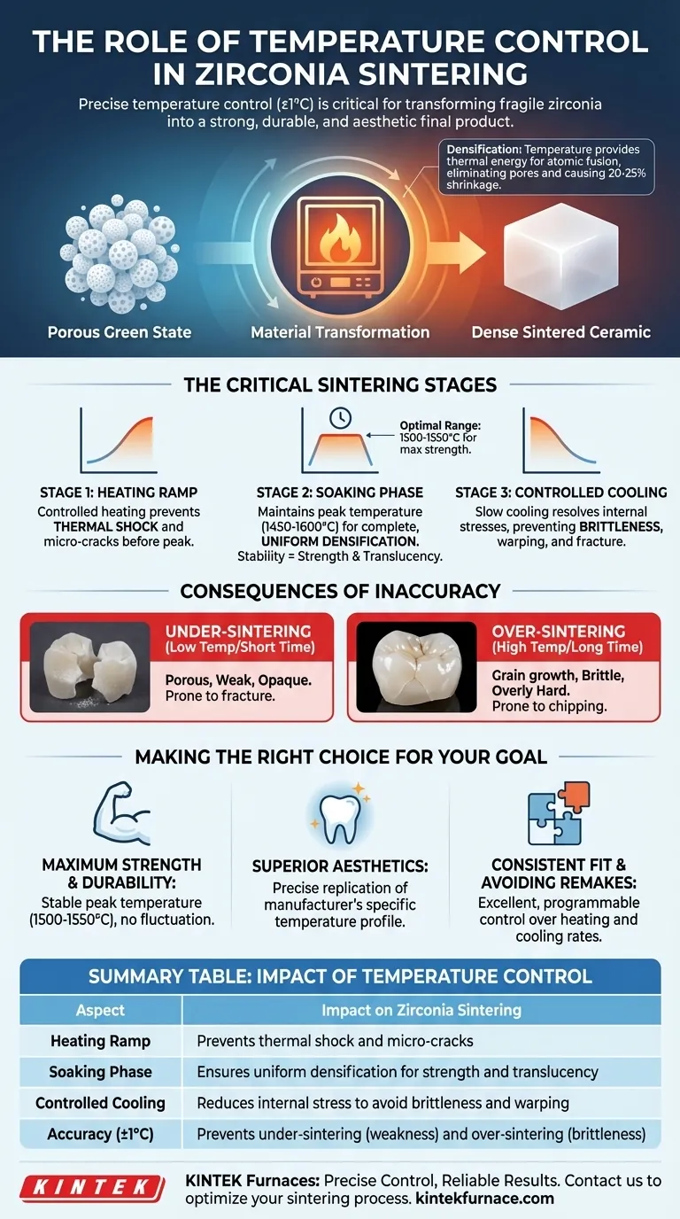 지르코니아 소결로에서 온도 제어의 역할은 무엇입니까? 완벽한 치과 보철물 구현 시각적 가이드